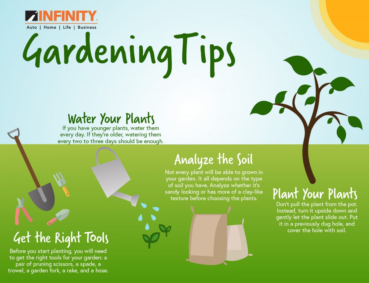 gardening infographic - EN.jpg