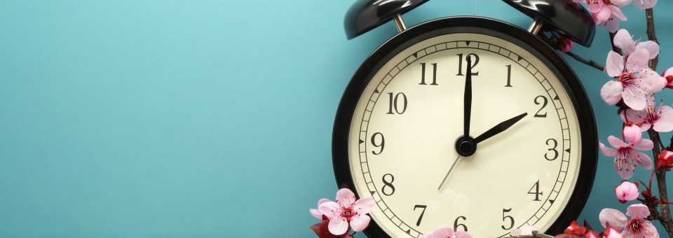 clock in spring flowers