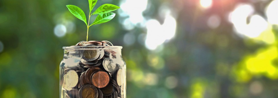money saving jar growing
